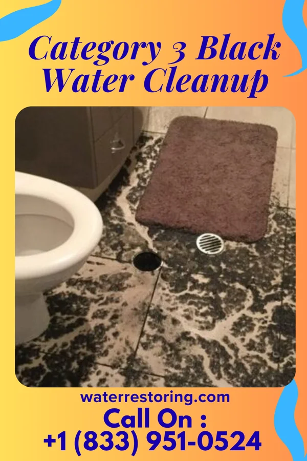 Category 3 Black Water Cleanup in Belle Vernon, PA