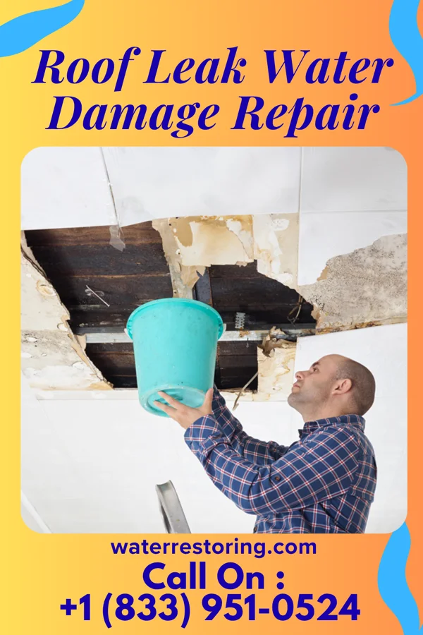 Roof Leak Water Damage Repair in Belle Vernon, PA