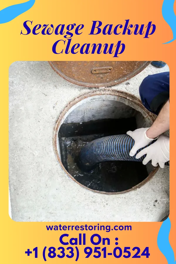 Sewage Backup Cleanup in Belle Vernon, PA
