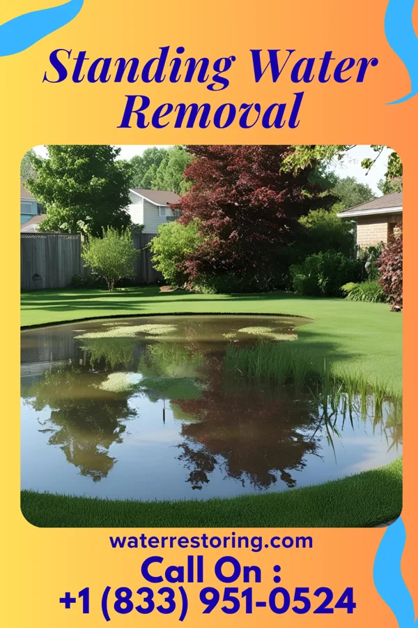 Standing Water Removal in Belle Vernon, PA